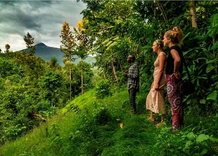 Banana Farm Eco