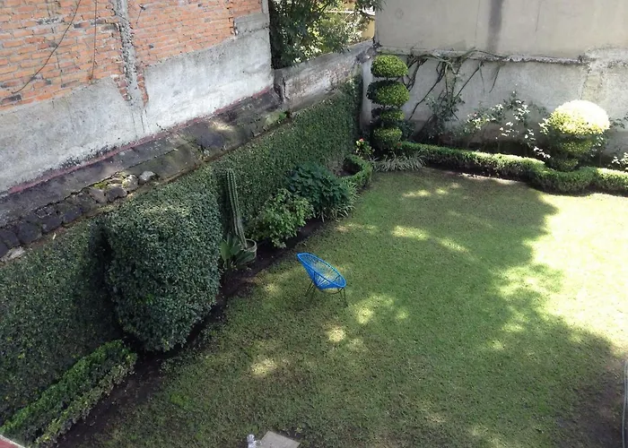 Centro De Coyoacan
