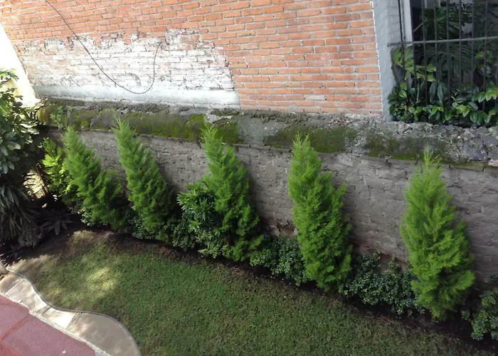 Centro De Coyoacan