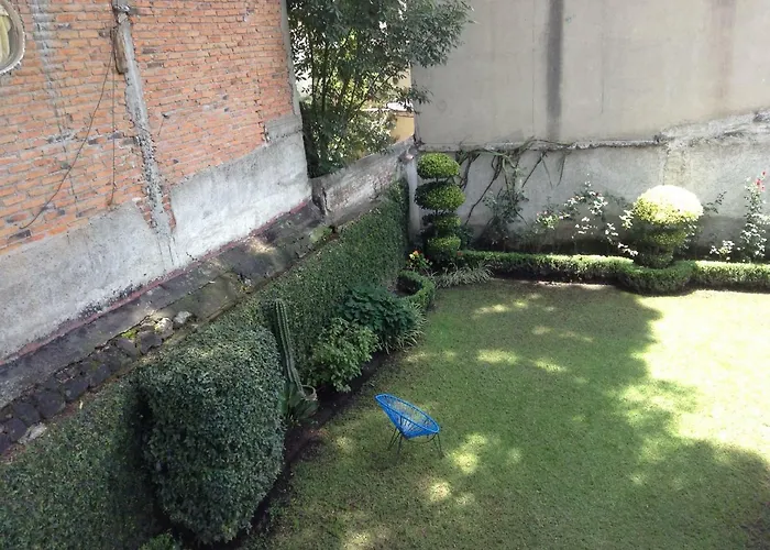 Centro De Coyoacan