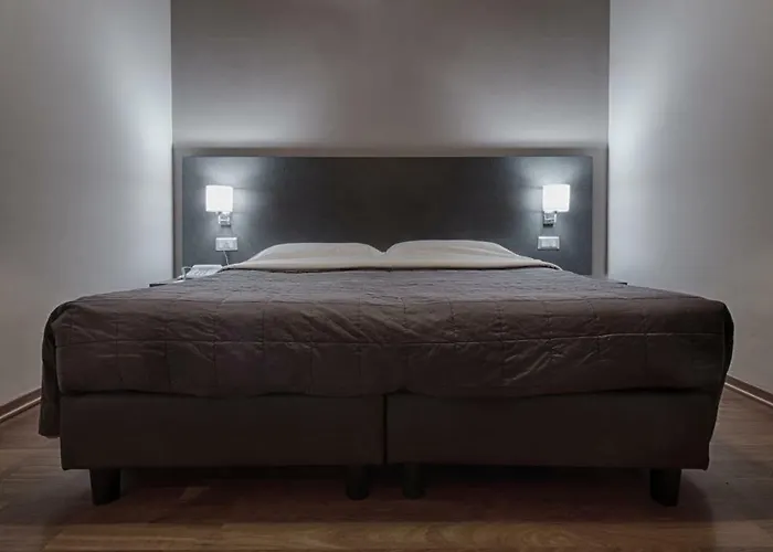 Hotel adatto agli animali: Twelve Hotel