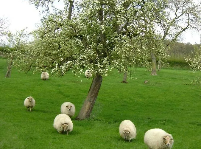 Cabine: Hoeve Schevey