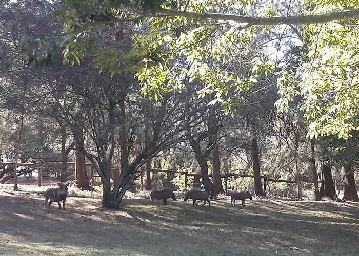 Wild Fig Guesthouse