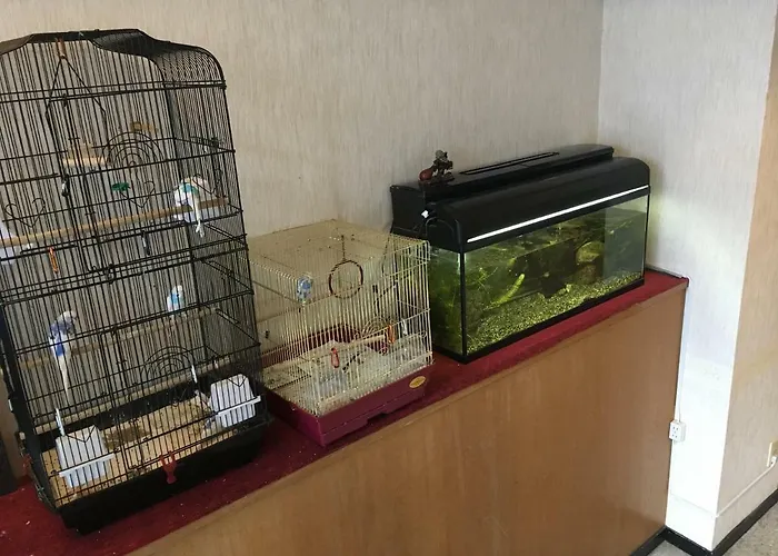 Okinawa Hotel Continental