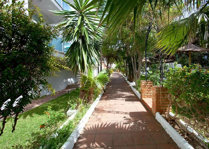 All inclusive Resort: Hotel Palia Las Palomas