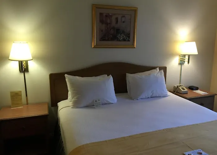 Hollywood Orchid Suites